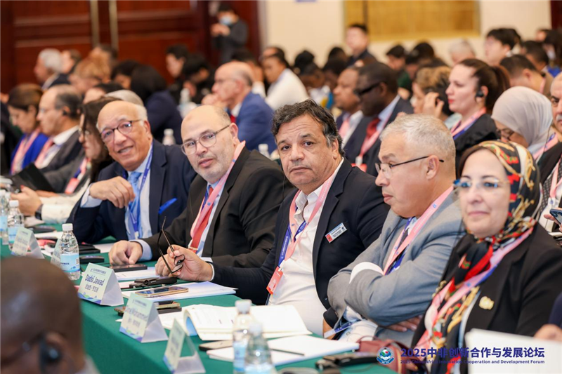 2025中非创新合作与发展论坛在武汉开幕