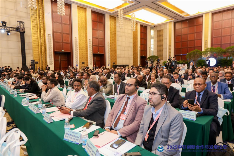 2025中非创新合作与发展论坛在武汉开幕