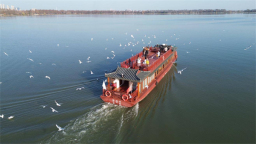 武汉东湖观鸥热度增长超100% 带动冬季文旅消费