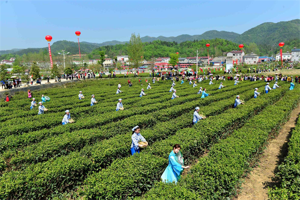 湖北唯一!襄阳市保康县入选全国第一批美丽乡村先行区