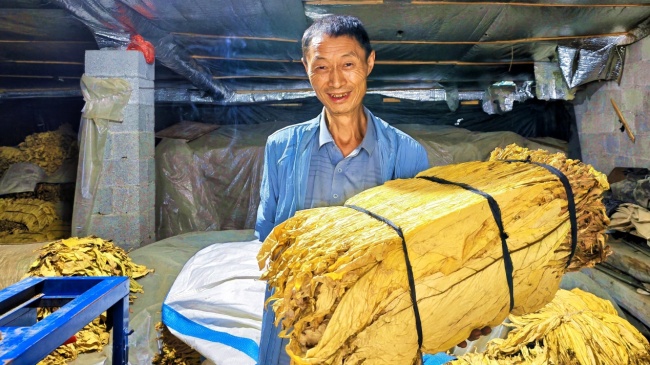 湖北利川:深耕醇化提质“后半篇”做实烟叶富民“增收账”