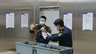 进出口增长15.9%！2026年前2个月湖北外贸迎来“开门红”