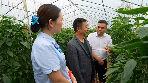 宜昌長陽:金融活水潤山鄉 “整村推進”助振興