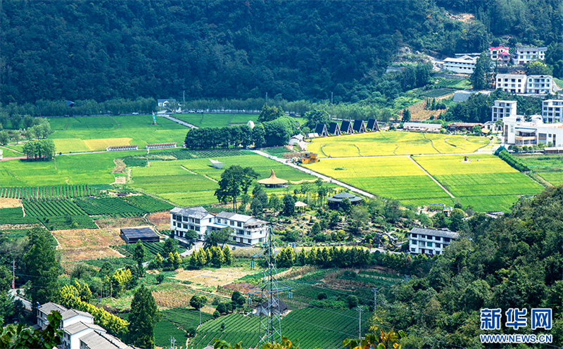 湖北恩施:秋日乡村好“丰”景
