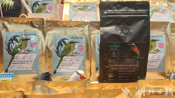 全國首個!尼加拉瓜國家經貿館在武漢長江新區揭牌