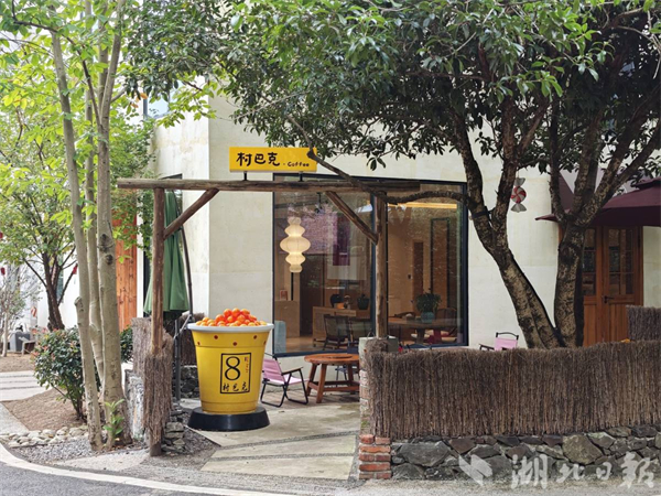 50个!武汉对标景区遴选“三宜”乡村