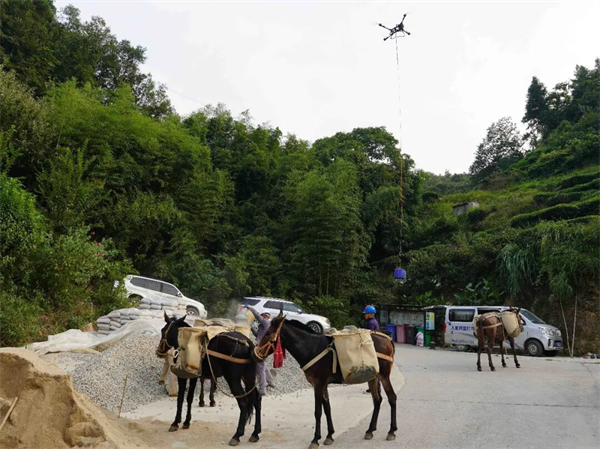 飞得快,也要走得稳 | 三峡水运新通道建设一线见闻