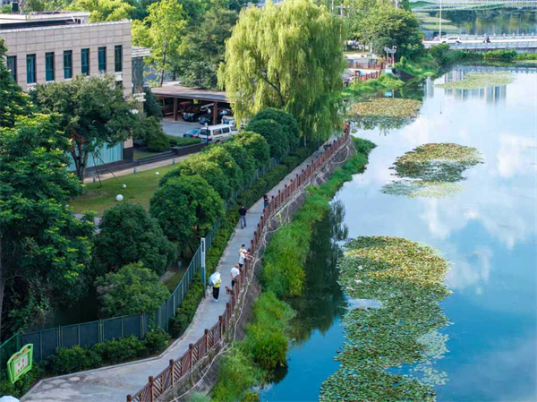武昌晒湖“环湖游”全面升级 市民畅享滨水新空间