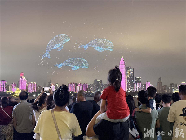 长江江豚将“游”进武汉文旅新场景