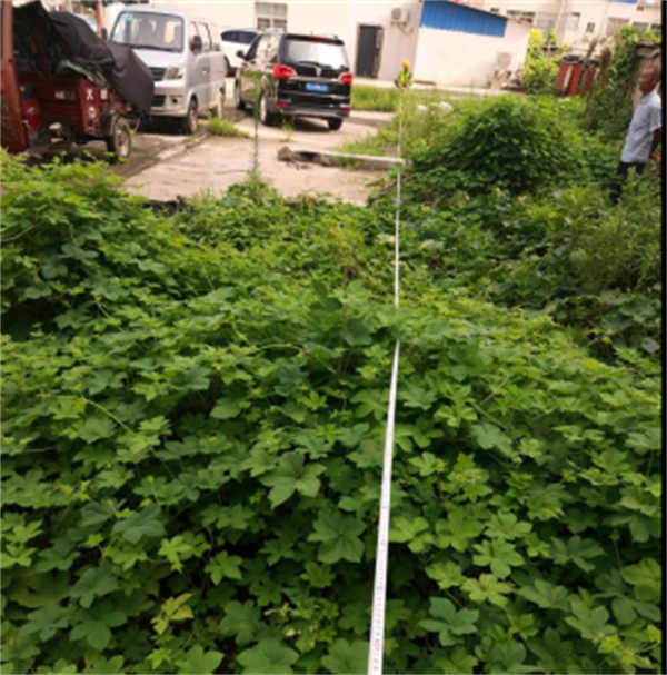 新增70余车位 广水卫校职工宿舍开放式停车场让群众幸福“加码”