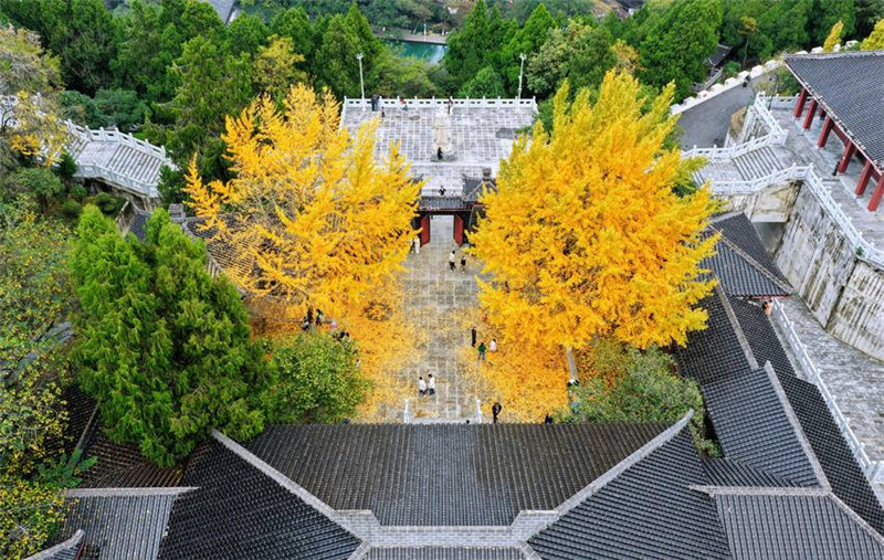 湖北荆门:“落叶缓扫”留美景