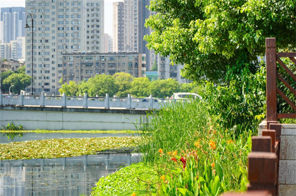 武昌晒湖“环湖游”全面升级 市民畅享滨水新空间