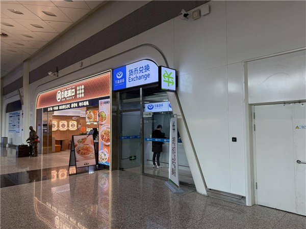 老外体验“支付自由” 从落地武汉天河机场开始