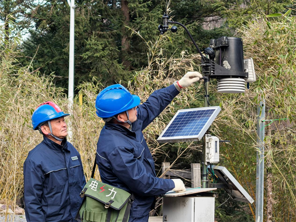 國網神農架供電公司:“綠電”護航珍稀動植物保護