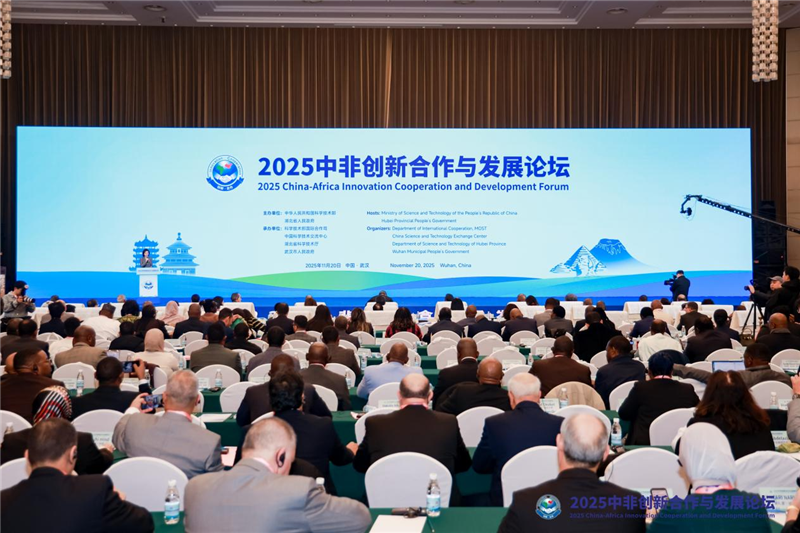 2025中非创新合作与发展论坛在武汉开幕