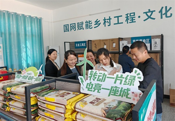 国网黄冈供电公司开展“转动一片绿·电亮一座城”品牌体验活动