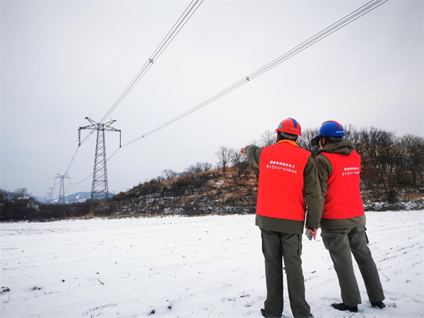 浴“雪”奋战守护万家灯火 国网麻城市供电公司全力应对雨雪冰冻保供电