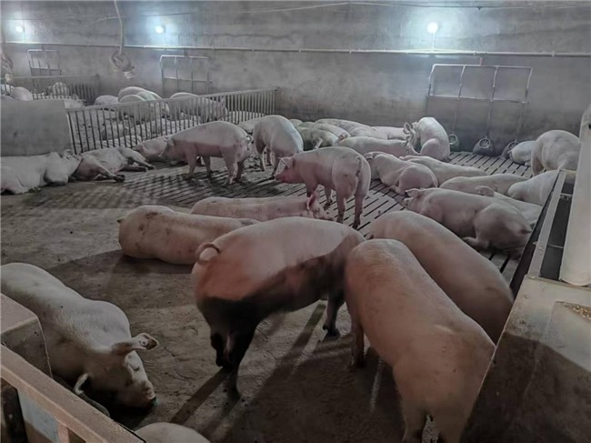 湖北枣阳:把群众“小事”当“大事”办