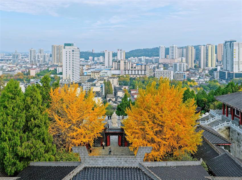 湖北荆门:“落叶缓扫”留美景