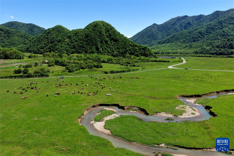 湖北神农架:风光旖旎大九湖