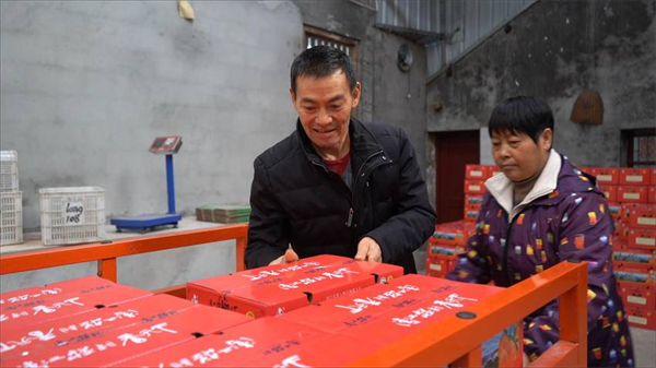 清江隔河岩库区宜昌长阳境内首座跨江大桥通车试运行