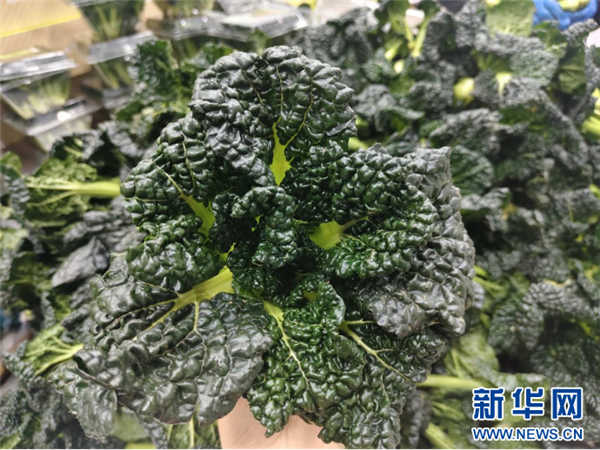 湖北随州:一片青蔬一朵菌 一粒香米种出振兴“金饭碗”