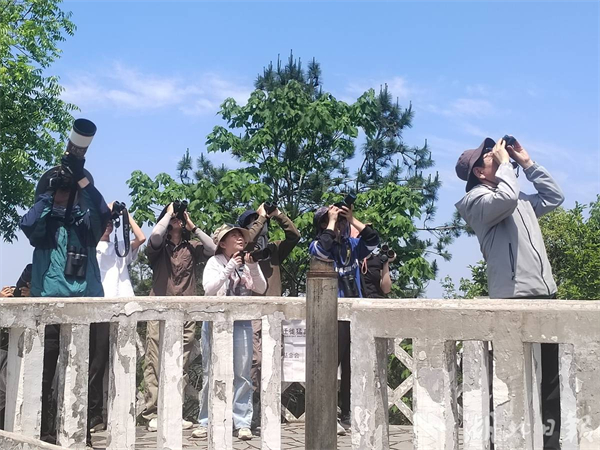武汉官宣建设鸟类友好城市 打造候鸟栖息港湾