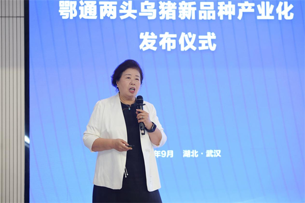 湖北生猪新品种“鄂通两头乌猪”在武汉正式发布