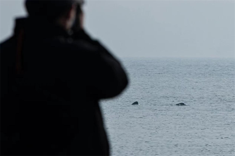 行车90分钟缩短至5分钟 武汉双柳长江大桥正式通车