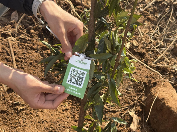 种树也“上云” 武汉高校师生用“技术流”种下2000株树苗