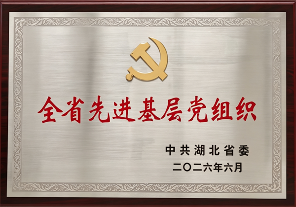 有形立根基 有效鍛實績 中南電力以紅色引擎鍛造發展硬核動能