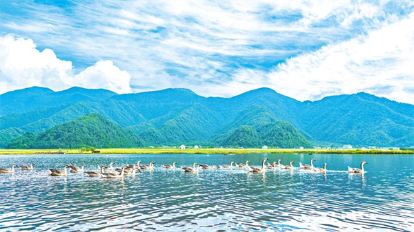 发挥“大品牌、高海拔、绿色化”比较优势 神农架迈向生态文明建设高地