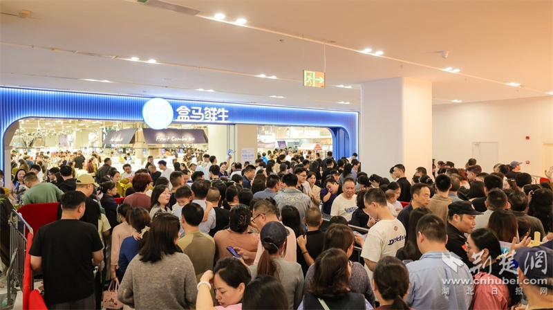 首店经济激活城市能级——宜昌打造区域消费中心观察