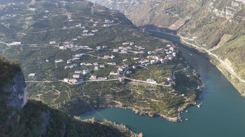 宜昌长阳:电商物流赋能产业发展 清江椪柑成为强村富民“金果果”