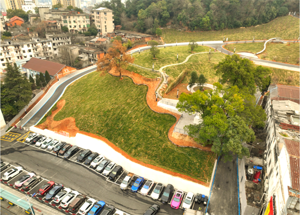 看湖北咸宁各大城市公园幸福“72变”