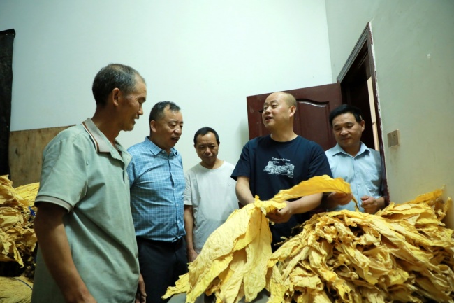湖北利川:烟叶分级“搬进家” 上门服务“手把手”