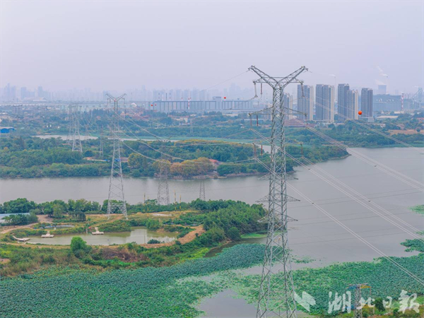 鄂東電網補強再迎新動能!鋼都配套工程第三階段送電成功