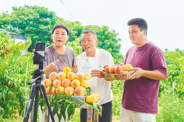“住一晚、吃三餐、带两包”——枣阳农文旅的“留量”密码