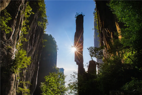 恩施州2025全国旅行商合作大会在汉举行