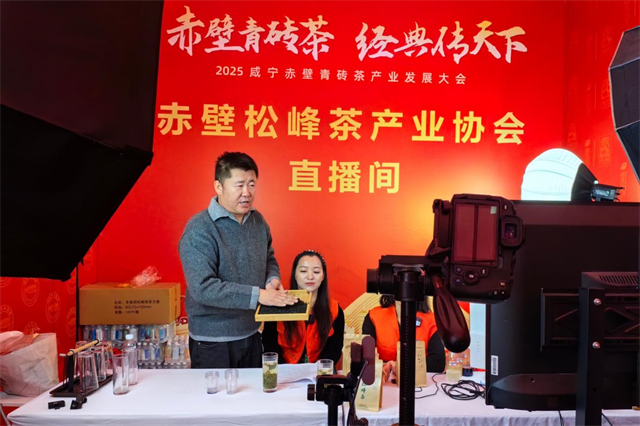 2025咸宁赤壁青砖茶产业发展大会开幕 null