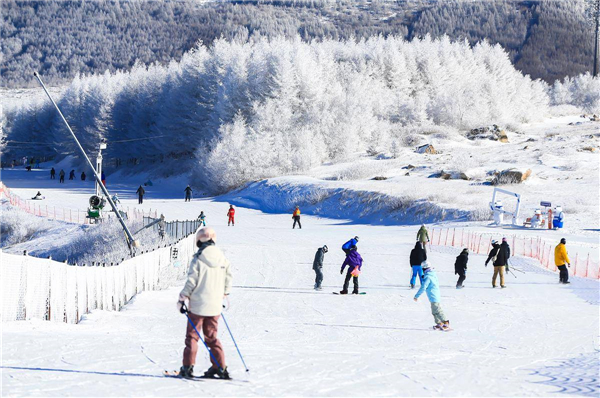 冰雪热潮席卷南北 湖北神农架、宜昌等地成东南亚游客新宠