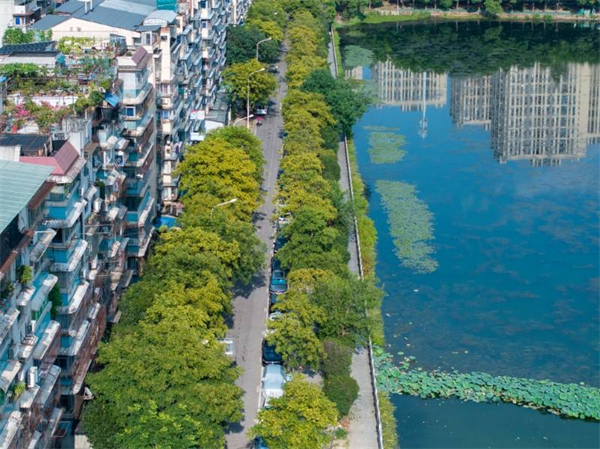 武昌晒湖“环湖游”全面升级 市民畅享滨水新空间