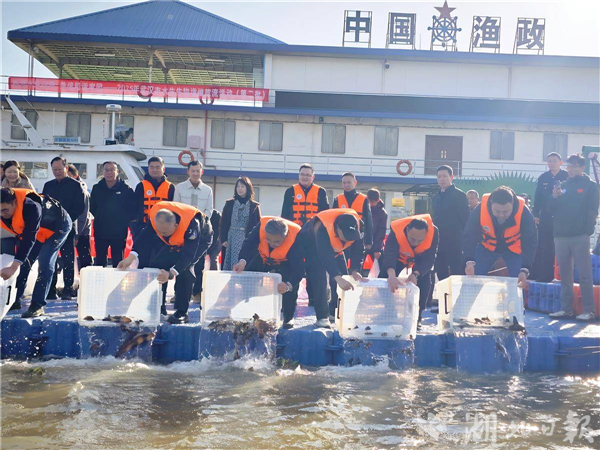 武汉放流40万尾珍贵鱼苗 助力长江生物多样性恢复