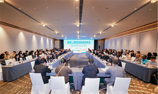 湖北—西班牙名企对接会深化两地合作