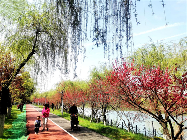 看湖北咸宁各大城市公园幸福“72变”