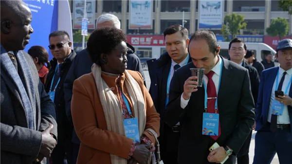 智联全球商贸赢机遇 2025武汉(汉口北)商品交易会开幕