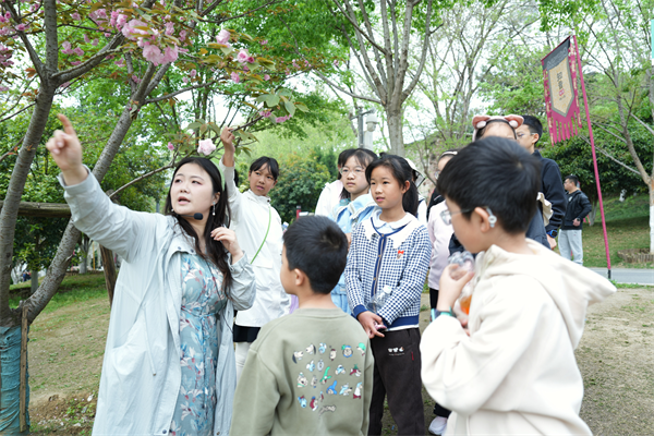 课堂搬到花树下 武汉龟山公园上演一场浪漫的自然课堂