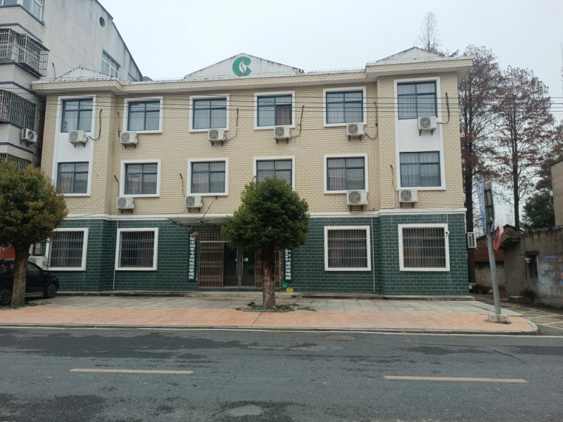 湖北安陆:青春执笔,绘就基层治理数字化转型“新蓝图”