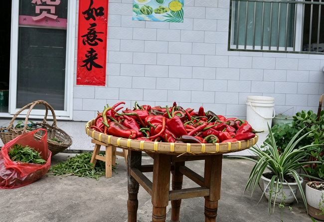 沿著畫廊看鄉村 農家小店映振興
