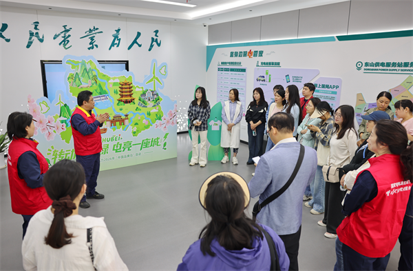 国网宜昌供电公司组织开展“转动一片绿·电亮一座城”品牌日活动